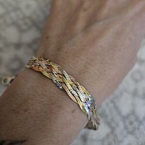 NWOT Elegant Multicolor Braided Bracelet